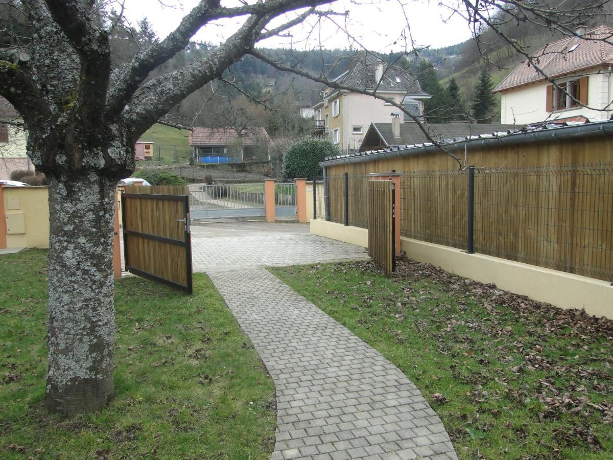 La Maison En Pain D'Epices Sainte-Marie-aux-Mines Εξωτερικό φωτογραφία